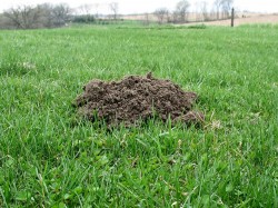 Symptoombestrijding Is Kortzichtig en Tijdverspilling