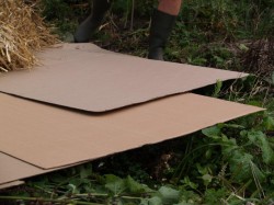 Hoe Moet Ik Mijn Grond Afdekken?