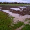 2000 hectare landbouwgrond vernield door boeren zelf