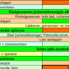 Handboek Groenten Kweken, Jaarkalender, ...