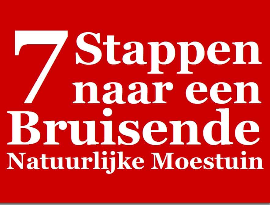 7 Stappen naar een Eigen, Bruisende Natuurlijke Moestuin