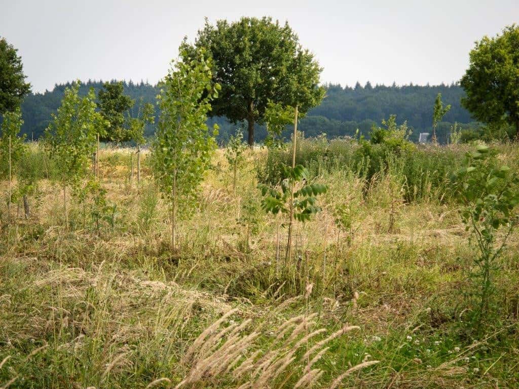 Een Primeur voor het PermacultuurNetwerk