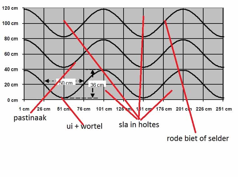 Schijnbare Chaos in de Praktijk: Enkele tips!