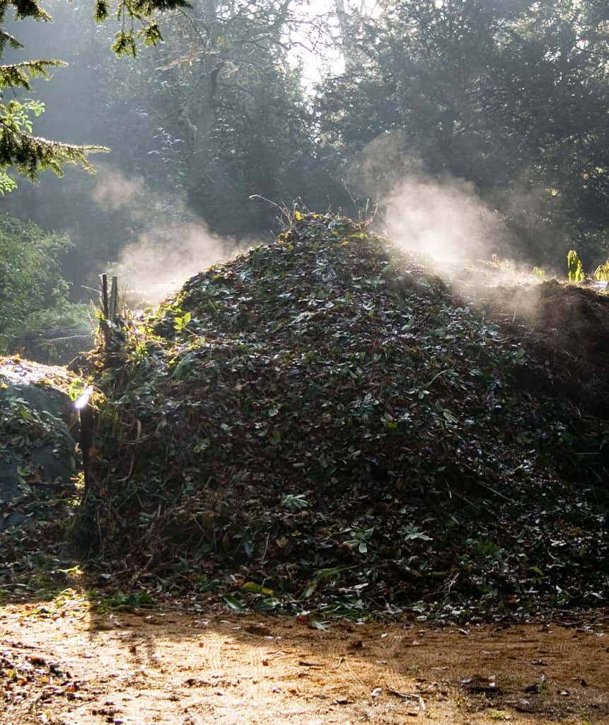 Moet Je een Gesloten Kringlopen Hebben in een Natuurlijke Moestuin?