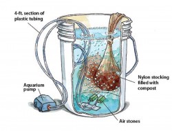 Is Compostthee het Juiste Hulpmiddel in Je Tuin?