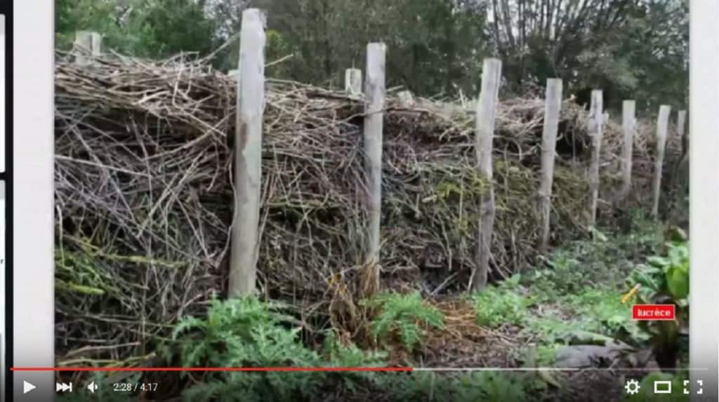 Enkele Belangrijke Tips bij de Aanleg van een Takkenril