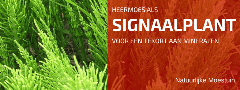 Heermoes Is Geen Lastig Onkruid!