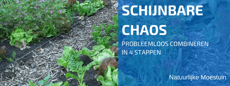 4 Basisprincipes Om Alles Probleemloos Te Combineren In De Natuurlijke Moestuin