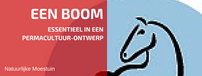 Permacultuur-Ontwerpprincipe 5 Uitgelegd Met Behulp van een Boom