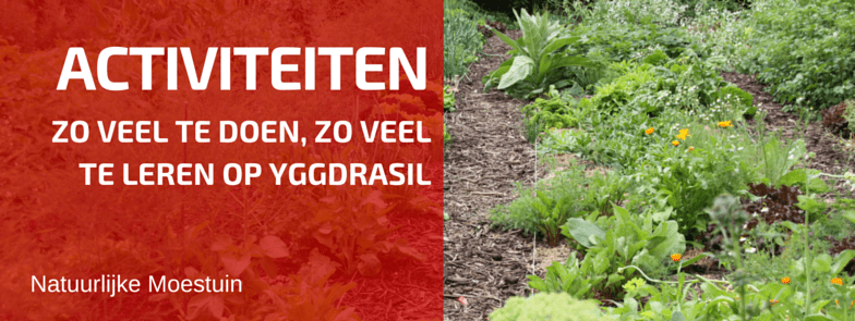 Lezingen, Workshops en Rondleidingen op Yggdrasil