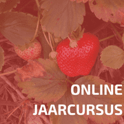 Online Jaarcursus