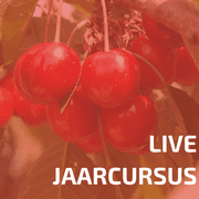 Live Jaarcursus