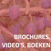 Brochures, Video's, Boeken