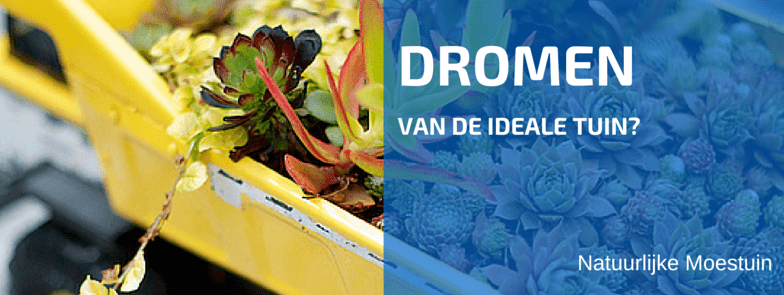 Mijn Ideale Tuin Is de Tuin die Ik Niet Heb Aangelegd!