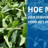 Leer Perfect Mulchen met Behulp van 4 Eenvoudige Regels!