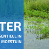 5 Redenen Voor een Poel In Je Tuin