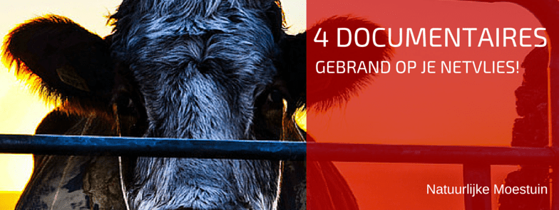 Enkele Interessante Video's op een Rijtje