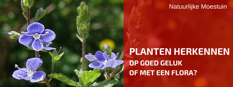 Een Hulpje in Je tuin Om Planten Te Herkennen