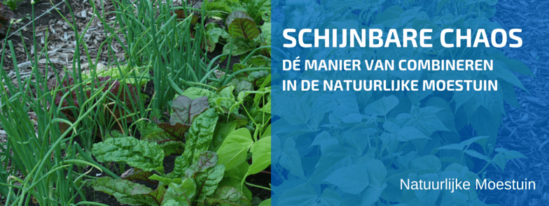 Onverwacht Veel Voordelen Wanneer Je Juist Combineert!