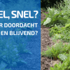 Dingen Die Leiden Tot Een Échte Verandering ...