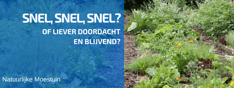 Dingen Die Leiden Tot Een Échte Verandering ...