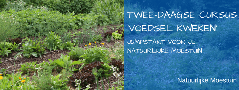 Aankondiging: Tweedaagse cursus 'Groenten Kweken'