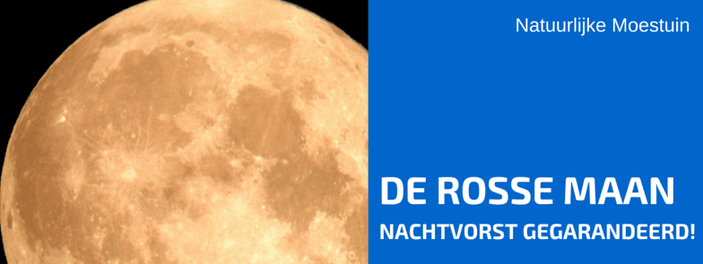 Ai, ai, ai: Oppassen Voor Die Rosse Maan!