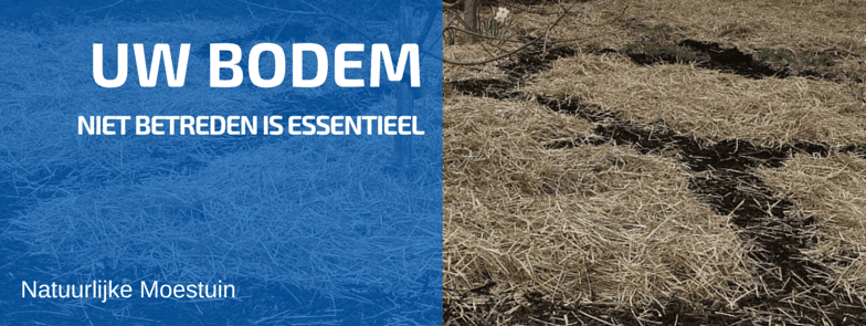 Fouten Mag Je Maken Zolang Je Er Uit Leert!