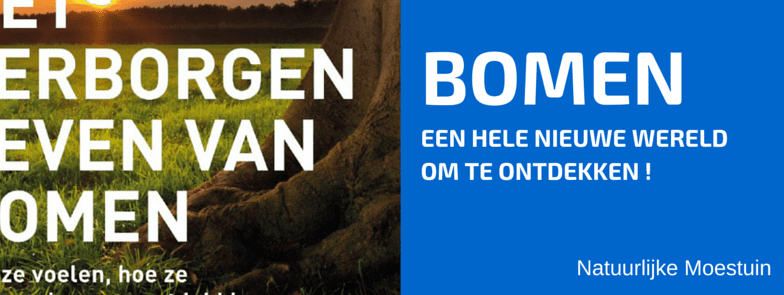 Boekbespreking: Het Verborgen Leven van Bomen.