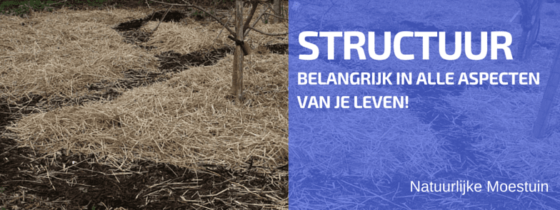 Indeling en Structuur Helpt Op Meerdere Manieren