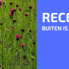 Recensie: Buiten Is Het Groen
