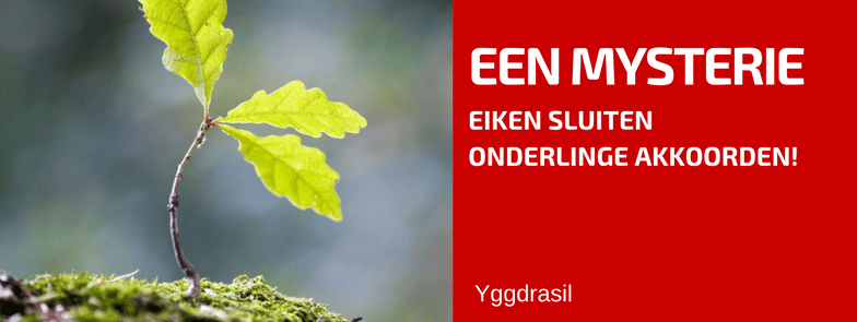 Waar Komen Al Die Eiken Ineens Vandaan?