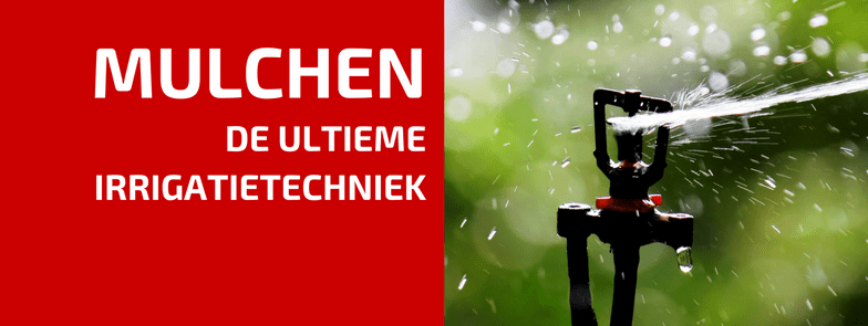 Zijn Hoge Temperaturen en Warme Wind Problematisch in de Tuin?