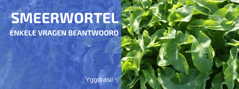 Een Noodzakelijk Vervolg: Extra Info Over Smeerwortel