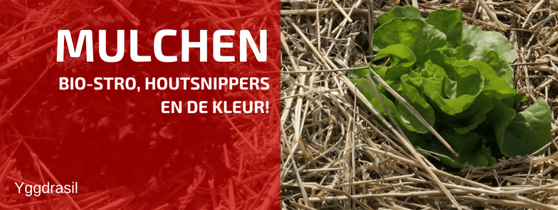 Hoe Dik Mulch Je Best in het Najaar?
