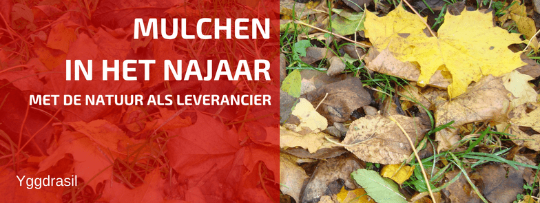 Mijn Geliefkoosde Mulchmateriaal Wordt Bijna Geleverd!