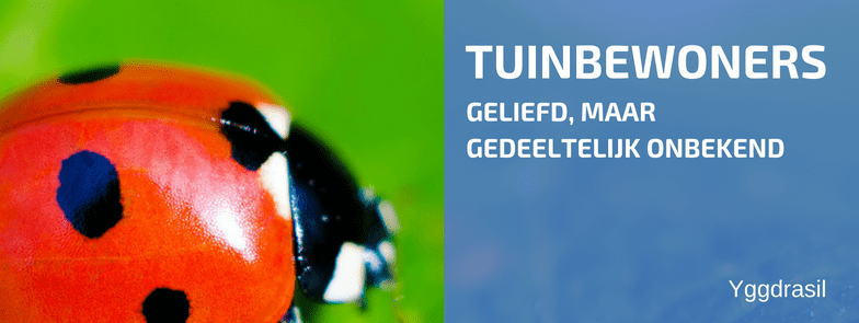 Tuinbewoners: Graag Gezien of Niet: Lieveheersbeestjes!