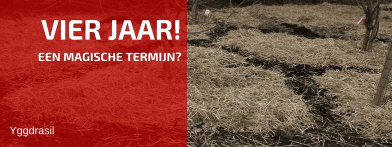 Waarom Duurt het Gemiddeld Vier Jaar?