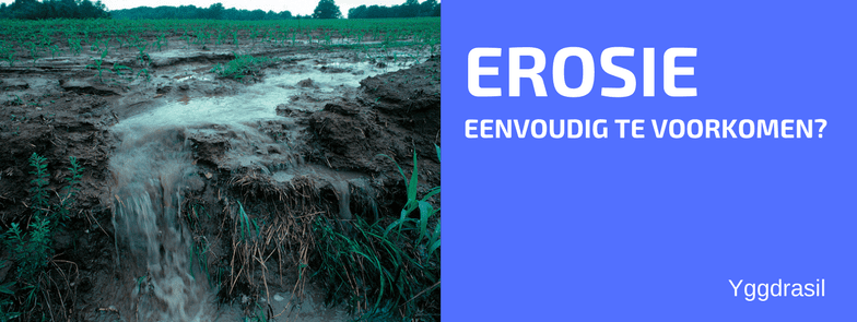 Het Verband Tussen de Waterkringloop en Mulchen!