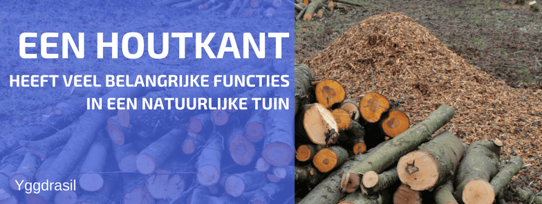 Het Nut van een Houtkant (Groot of Klein)