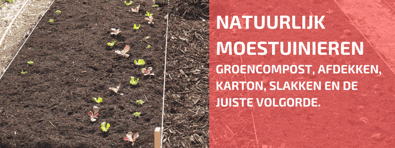 Over Groencompost, Karton, Slakken en De Juiste Volgorde.