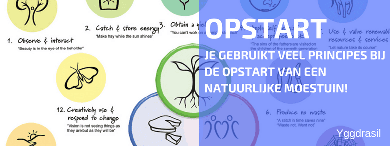 PermacultuurPrincipes bij de Opstart van een Natuurlijke Moestuin