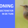 Tuinbewoners, Graag gezien of Niet: Winterkoning