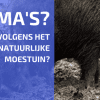 Dogma's in Permacultuur