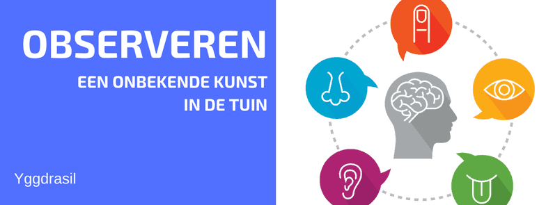 De Verloren Kunst van Observeren