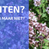 Wachten, wachten, wachten ...