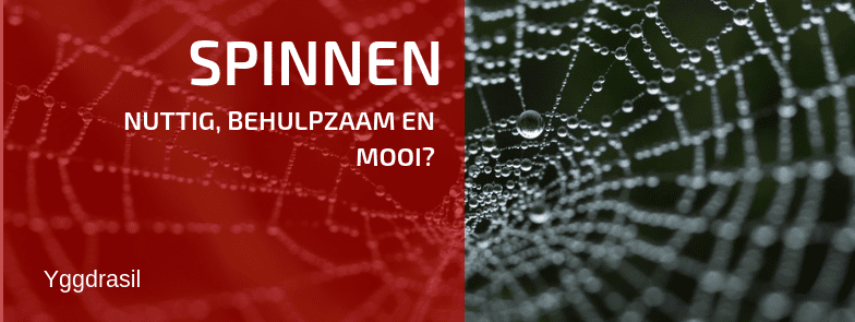 Tuinbewoners: Graag Gezien of Niet? Spinnen!