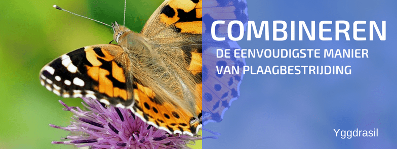 Hoe Zoekt een Insect, Als Startpunt Voor je Plaagbestrijding!