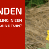 Randen in een Kleine Tuin?
