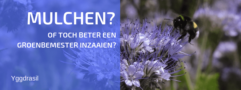 Is er Plaats voor Groenbemesters in een Natuurlijke Moestuin?